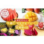 ショッピングふるさと納税 マンゴー ふるさと納税 マンゴー 沖縄県 今帰仁村  限定50セット 2026年4月配送開始 今帰仁おすすめフルーツの定期便4回