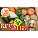 セット 詰合せ 毎月コース 野菜 キノコ 果物