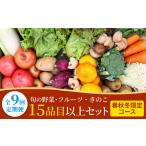 セット 詰合せ 野菜定期便 春秋冬 コース 豪華