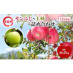 ふるさと納税 りんご 青森県 鶴田町 No.5554-0219 りんご 12月発送 家庭用 サンふじ ・ 王林 詰め合わせ 約 5kg