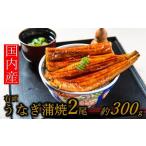 ふるさと納税 うなぎ 福岡県 新宮町 A1423. 国内産 有頭 うなぎ蒲焼 2尾 計300g前後 『１〜２ヶ月前後でお届け 』