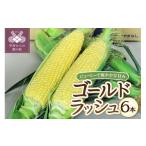 とうもろこし 〈2027年度配送分〉とうもろこし