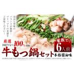 もつ鍋 福岡 鍋 牛小腸100%使用 牛もつ鍋セット 6人前