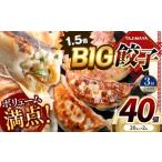 ふるさと納税 餃子 栃木県 真岡市 定期便3回 たじまやオリジナルビッグ餃子 40個 | TAJIMAYA たじまや タジマヤ 大きい ビッグ BIG 餃子 売れ筋 大人気 好評 …