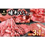 牛肉 ステーキ 毎月定期便 枕崎牛味わいセット
