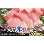 ショッピングふるさと納税 先行予約 ふるさと納税 旬の鮮魚等 福井県 美浜町  先行予約 天然 地物 ひるがの寒ぶり 柵3本 合計800g以上 2026年1月中旬以降順次発送予定 ブランド 寒ブリ 寒鰤 かん…