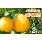 ふるさと納税 果物類 