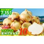 ふるさと納税 野菜類 玉ねぎ 大阪府 泉佐野市 TVで紹介 射手矢さんちの泉州たまねぎ 10kg 玉ねぎ タマネギ 玉葱 甘い 野菜 国産 期間限定 オニオン スライス …