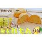 ケーキ カステラ フルーツケーキ 中島屋菓子店