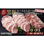 ふるさと納税 豚肉 ロース 鹿児島県 大崎町 訳あり 鹿児島県産黒豚ロースとんかつ用・鹿児島県産黒豚肩ロースとんてき用セット(計2,220g)
