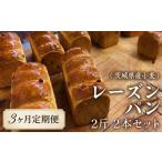 パン 3ヶ月 定期便 小麦のレーズンパン 2斤 2本