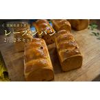 パン 6ヶ月 定期便 小麦のレーズンパン 2斤 2本