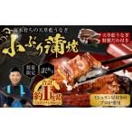 うなぎ 上 令和8年度熊本地震復興支援 訳あり