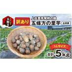 人参 大根 他根菜 訳あり 上庄の里芋 5kg