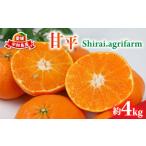 ショッピング甘平 ふるさと納税 果物類 みかん 愛媛県 宇和島市  2／5〜発送予定 甘平 約4kg 2L~4L Shirai.agrifarm みかん 高級柑橘 愛媛県限定 品種 愛媛みかん 柑橘 果物 く…