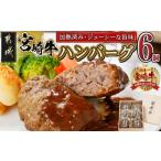 ふるさと納税 牛肉 ハンバーグ 宮崎県 都城市 加熱済み 宮崎牛ハンバーグ6個_14-8405_(都城市)都城産 宮崎牛 ハンバーグ 湯せん 贈り物 ギフト
