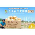 野菜類 玉ねぎ 全6回 2ヶ月に1回定期便