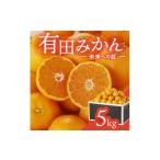 ふるさと納税 果物類 みかん 和歌山県 有田市  1月お届け 有田みかん「未来への虹」（5kg）(A973-2) 5ｋｇ