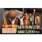 体験チケット 利用券 3 000円分