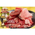 ふるさと納税 牛肉 焼肉・バーベキュー 岐阜県 本巣市 3月発送 訳あり 飛騨牛 焼肉 切り落とし 500g | 牛肉 肉 切落し わけあり ワケアリ 不揃い 冷凍 本巣市…