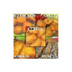 ふるさと納税 魚貝類 岩手県 岩泉町 竹下水産おさかなフライ5種×2袋(2.8kg) サケ サンマ タラ アジ イワシ おかず 惣菜 小分 1567674