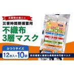 防災グッズ 災害時長期備蓄用 不織布3層マスク 12枚入