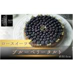 ケーキ カステラ タルト ロースイーツ ブルーベリータルト