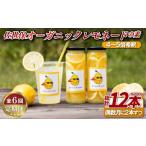 果汁飲料 PS016 佐世保オーガニックレモネードの素