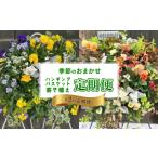 花 全2回定期便 オンライン決済 ハンギングバスケット