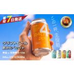 ビール 地ビール DD4Dクラフトビール 350ml×24本セット