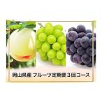 もも 発送月固定定期便 フルーツ定期便〈お一人様向け〉全3…