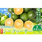 みかん 柑橘類 シークヮーサー訳あり シークヮーサー 約1kg