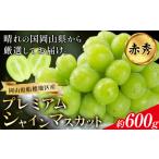 ふるさと納税 ぶどう マスカット 岡山県 浅口市 ぶどう プレミアム シャインマスカット 船穂 赤秀品 晴王 1房約600g《2025年9月中旬-11月上旬頃より出荷予定(…