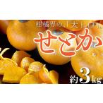みかん 柑橘類 柑橘界の大トロ 三豊市のせとか 約3kg