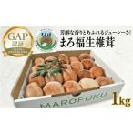 fu.... налог овощи вид .. . Ibaraki префектура . запад город ферма большой поле .. Fussa ..1kg......GAP..ju-si- витамин D фолиевая кислота ganiru кислота .. глутамин кислота...