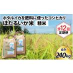 米 コシヒカリ 訳あり ほたるいか米 精米20kg