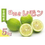 ふるさと納税 みかん・柑橘類 レモン 愛媛県 愛南町 数量限定 訳あり レモン 5kg 7000円 柑橘 サイズ 不揃い 家庭用 わけあり 檸檬 国産 フルーツ 果物 果実 …