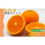 みかん 柑橘類 オレンジ ジューシー 清見オレンジ 2.5kg