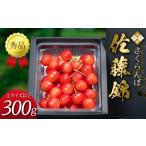 ふるさと納税 果物類 