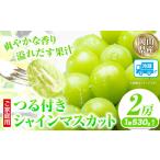 先行受付 つる付きシャインマスカット 2房or3房