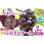つる付きシャインマスカット 3房 1房530g以上