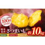 野菜類 サツマイモ さつまいも 約 10kg