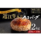 ショッピングふるさと納税 ハンバーグ ふるさと納税 肉 ハンバーグ 滋賀県 竜王町  6月発送 近江牛 入り ハンバーグ 200g×10個 計2kg 淡路島の玉ねぎ入り 冷凍 真空 合挽 小分け 個包装 肉汁 たっ…