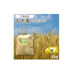 雑穀 毎月定期便 食物繊維のもち麦 きはだもち 4kg