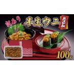 ふるさと納税 ウニ 岩手県 大船渡市 年内発送 訳あり 半生うに 100g 冷凍 うに ウニ 雲丹 キタムラサキウニ ミョウバン不使用 ウニ丼 丼 おつまみ 晩酌 海鮮 …