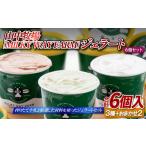ふるさと納税 アイス・ヨーグルト ジェラート 長崎県 佐世保市 F192 山中牧場「MILKY WAY FARM」ジェラート(6個)