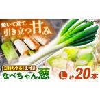 fu.... налог овощи вид лук порей Shimane . юг город предшествующий предварительный заказ 2025 год 11 месяц отправка начало лук порей ... так же прекрасный тест .. кастрюля Chan .( земля имеется ) превосходящий товар L размер 5kg( примерно 20шт.@) лук порей...