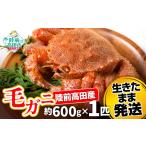 カニ 毛ガニ 約600g×1匹