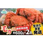 ふるさと納税 カニ 毛ガニ 岩手県 陸前高田市  毛ガニ 約600g×2匹 陸前高田産 毛ガニ 生きたまま発送 かに カニ 魚介類 旬 鮮度抜群 産地直送 三陸産 RT2662-…