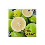 紀州和歌山 有田レモン 2kg